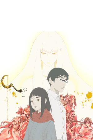 Hikari no Ou Season 2 - Folder Icon by Zunopziz on DeviantArt